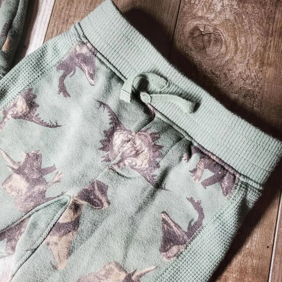 Wonder Nation Toddler Boy Hoodie and Joggers Set 2-Piece Size 12m Green Dino - Picture 10 of 14